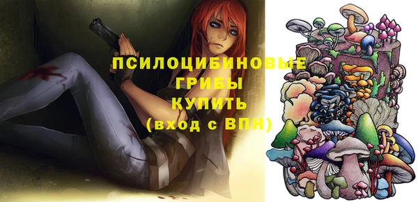 прущие крисы Богородицк