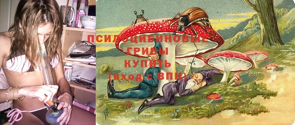 a pvp Богданович