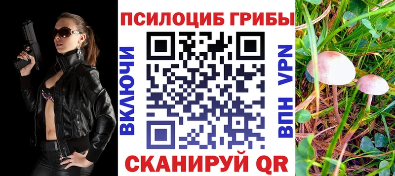 Псилоцибиновые грибы Psilocybe  Купить  Бокситогорск 