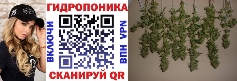 МАРИХУАНА гибрид  Купить где  Бокситогорск 